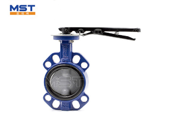 Factors to Consider When Choosing Butterfly Valves