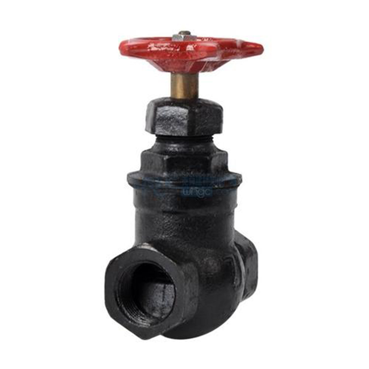 What is the main difference between a threaded globe valve and a socket globe valve?