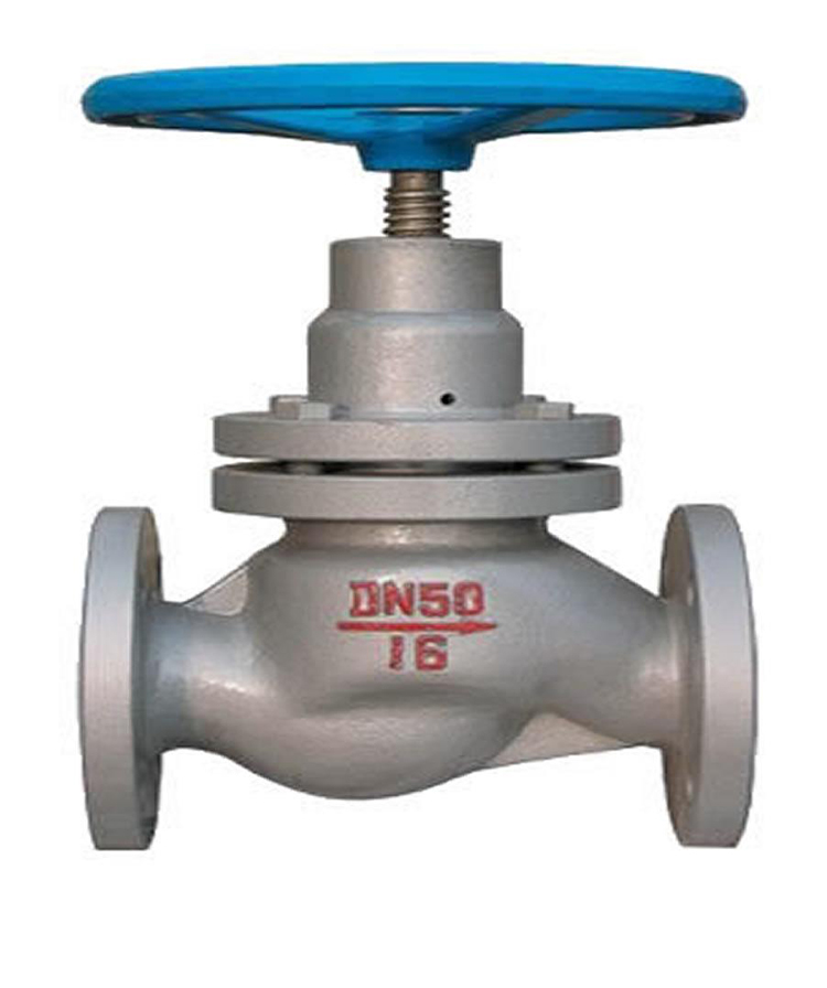 Plunger Globe Valve